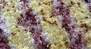 Steamed Basmati Rice<